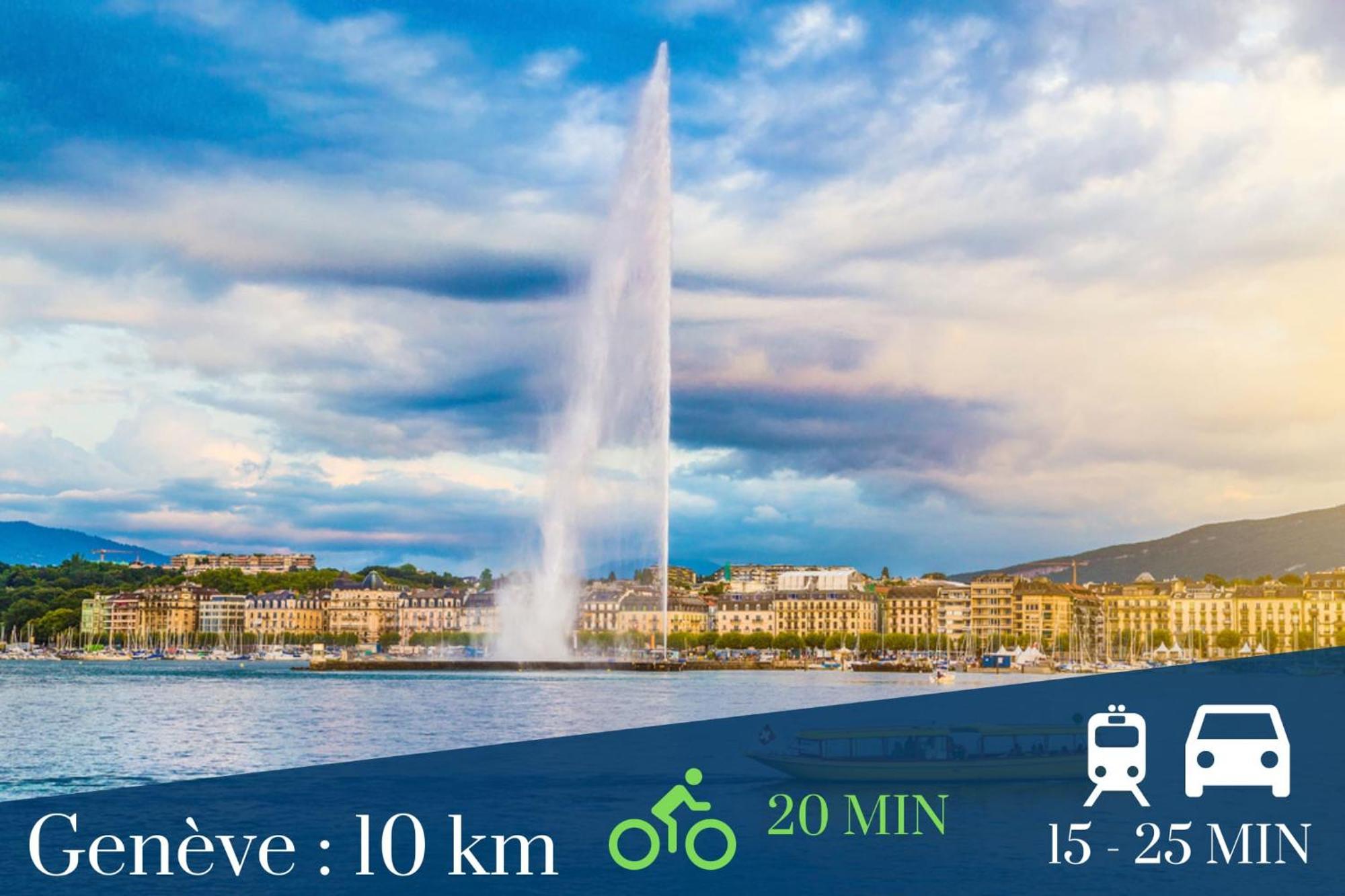 Homey Wild - Proche Gare Et Tram - Proche Centre - Balcon Prive - Parking Prive - Wifi Gratuit Annemasse Eksteriør bilde
