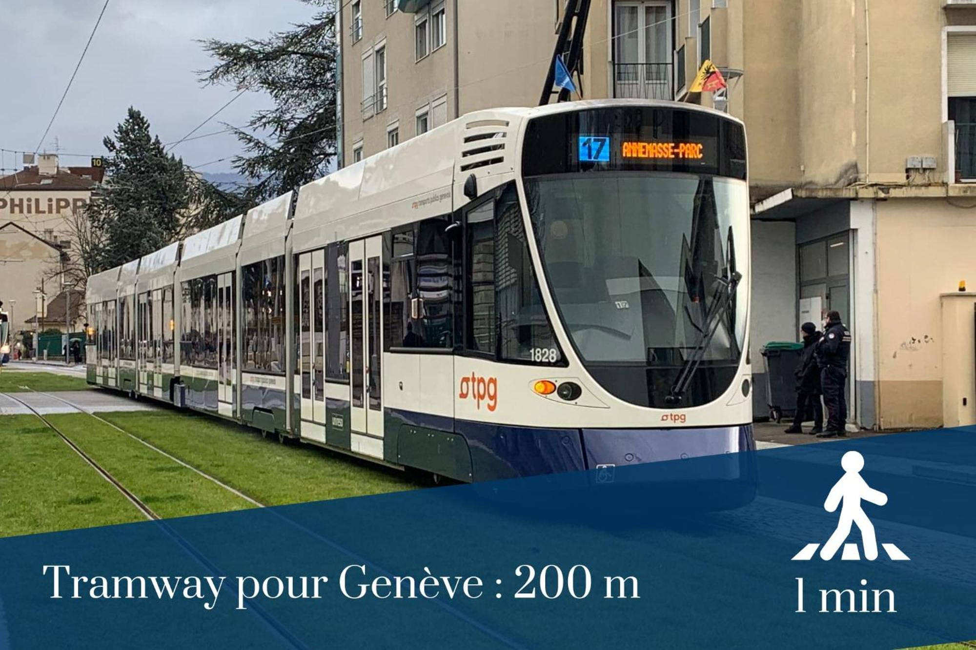 Homey Wild - Proche Gare Et Tram - Proche Centre - Balcon Prive - Parking Prive - Wifi Gratuit Annemasse Eksteriør bilde